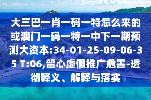 大三巴一肖一碼一特怎么來的或澳門一碼一特一中下一期預(yù)測(cè)大資本:34-01-25-09-06-35 T:06,留心虛假推廣危害-透徹釋義、解釋與落實(shí)