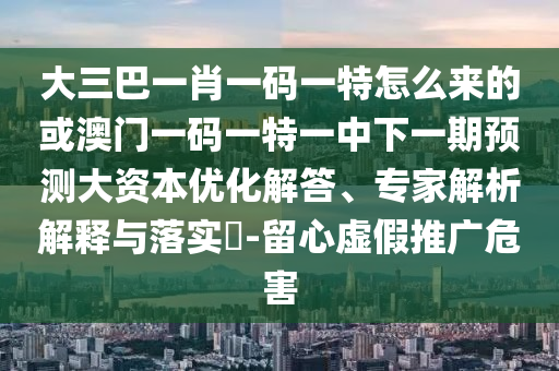 大三巴一肖一碼一特怎么來(lái)的或澳門一碼一特一中下一期預(yù)測(cè)大資本優(yōu)化解答、專家解析解釋與落實(shí)?-留心虛假推廣危害