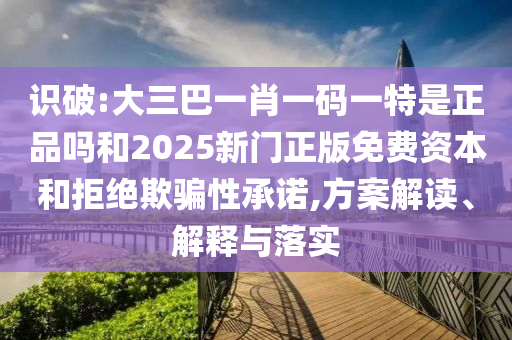 識(shí)破:大三巴一肖一碼一特是正品嗎和2025新門正版免費(fèi)資本和拒絕欺騙性承諾,方案解讀、解釋與落實(shí)